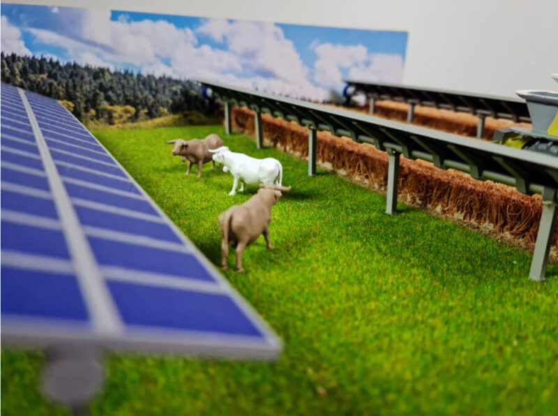 Agri PV